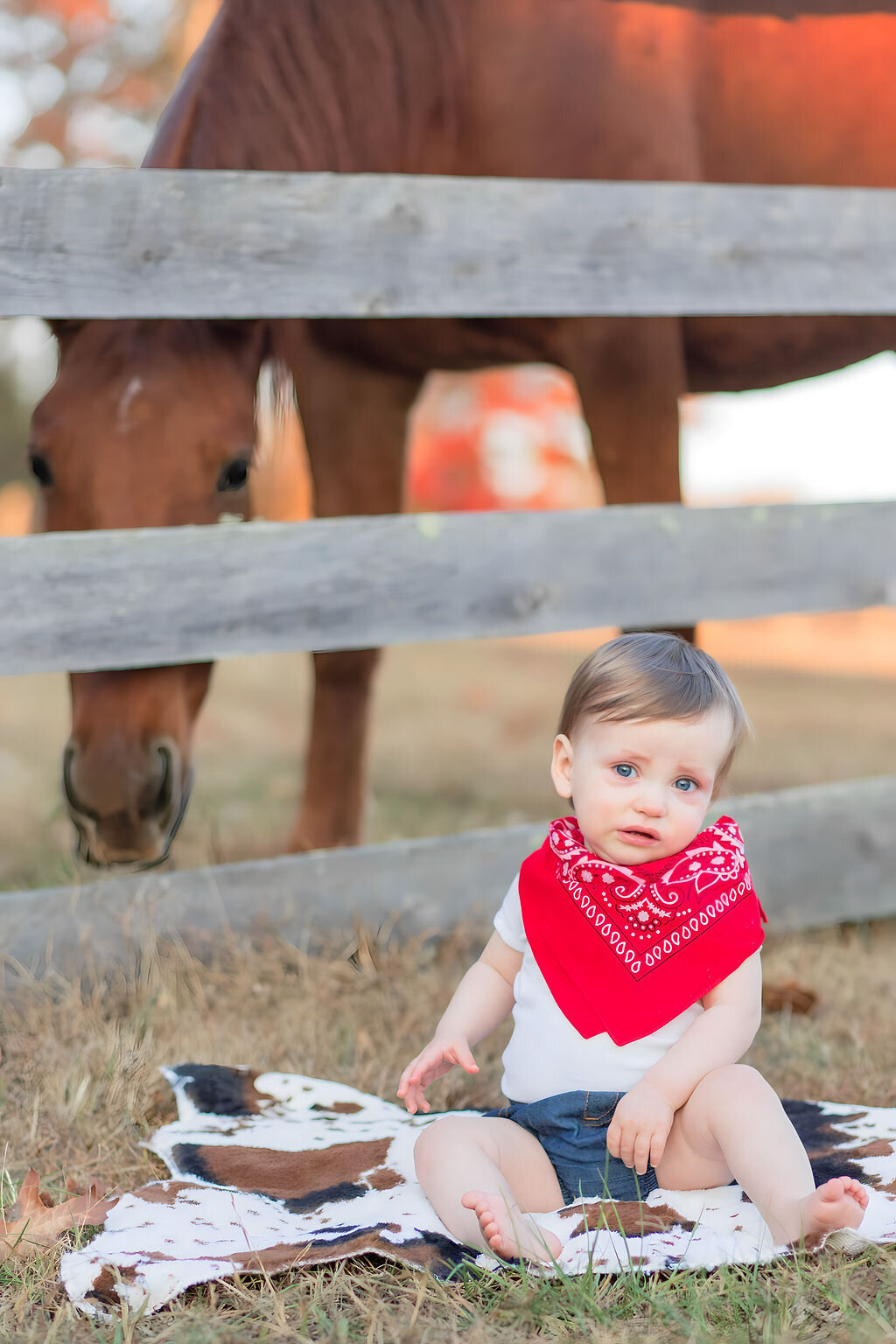 Milestone photo session Huntersville NC