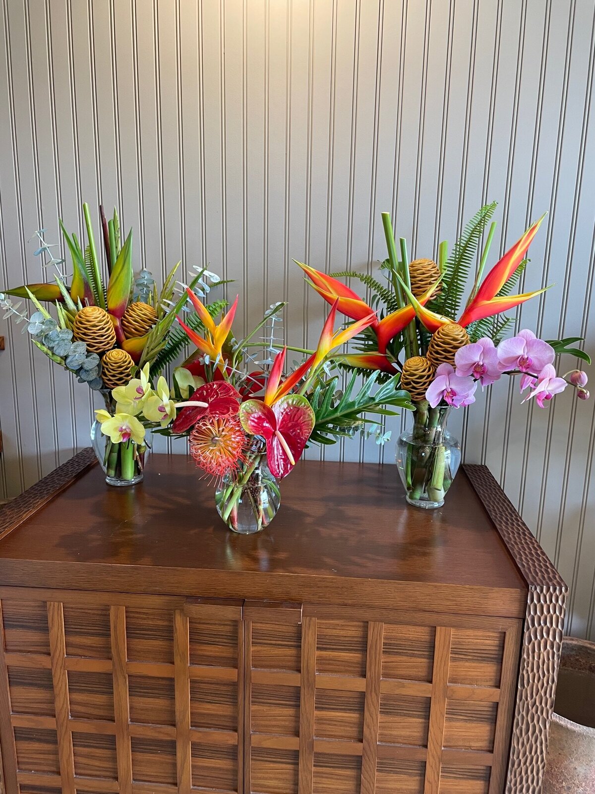 wailani beginner arrangements