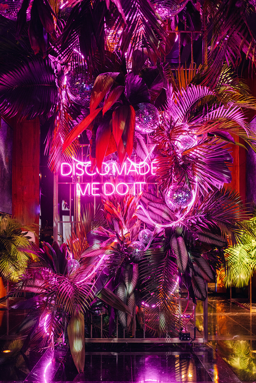 disco-milestone-3_websize
