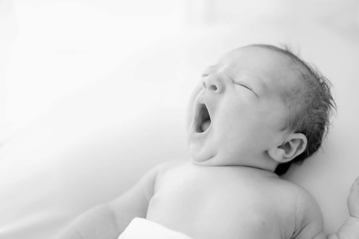 newborn baby yawning during in studio session