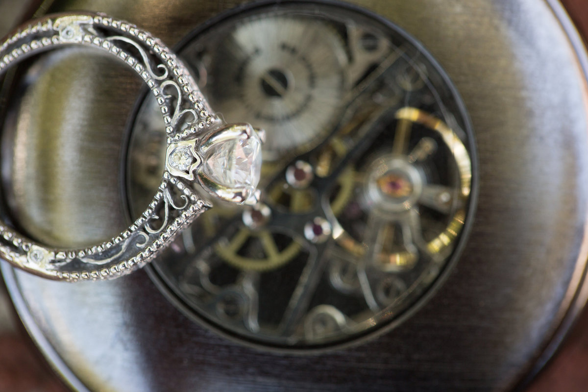 Disney Engagement-079