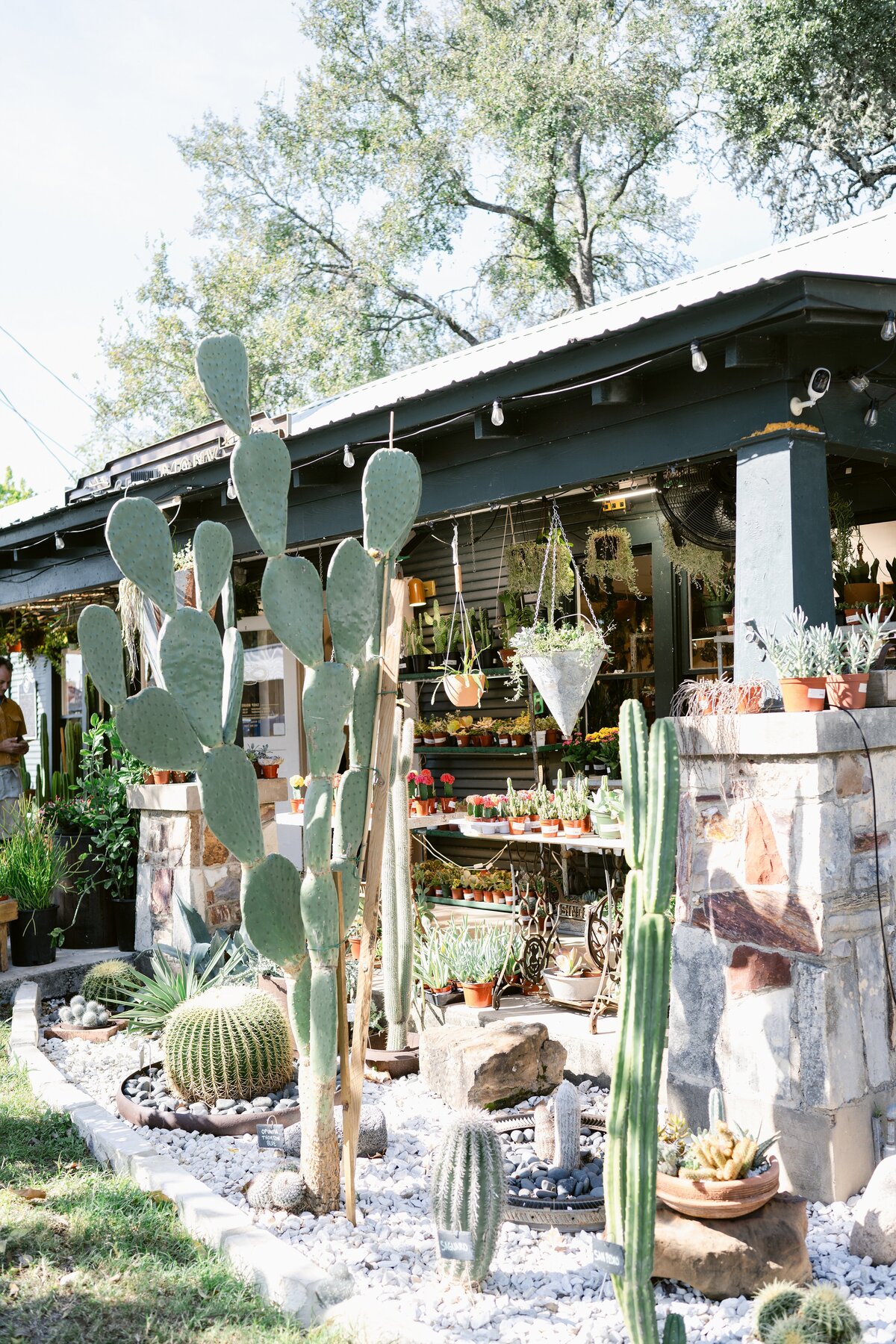 Plant shop in Wimberley Square