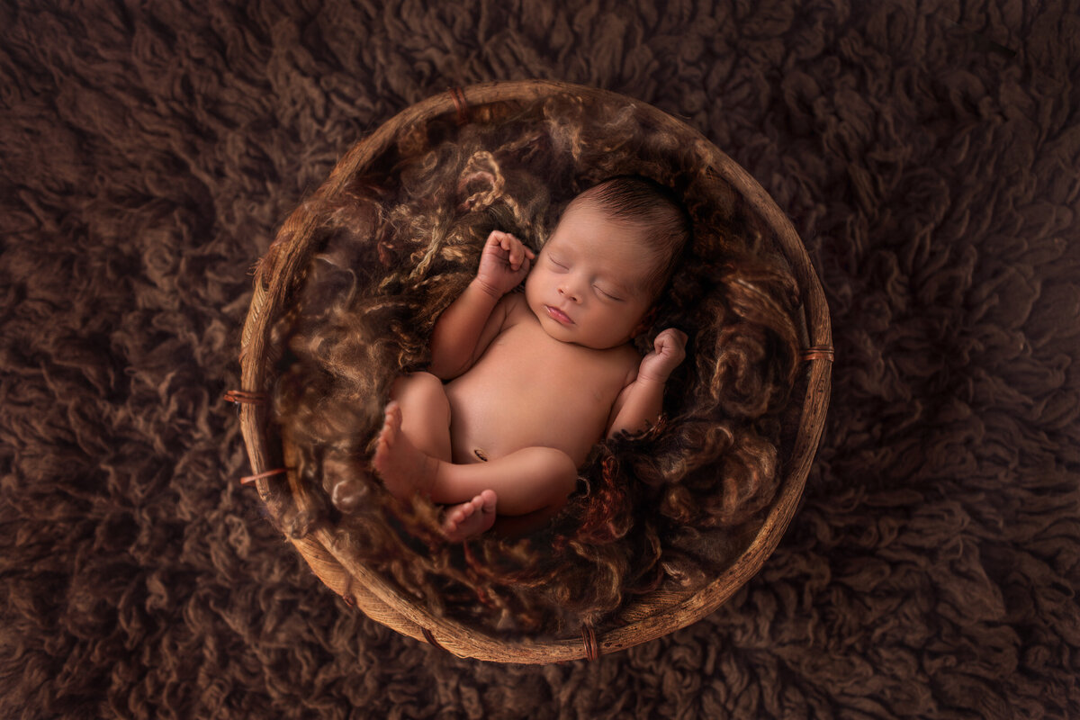 _D8A7356fullsizeFullsize