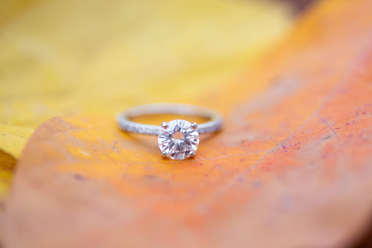 caitlin-hicks-engagement-ring-inspiration-illinois-lisa-shreffler-photography