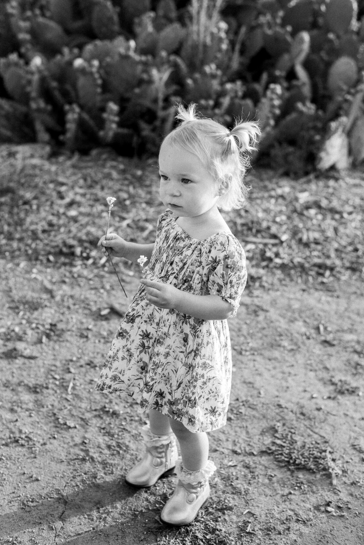 Alexis Rachel Photography 2024 LaFevre, Paige-37