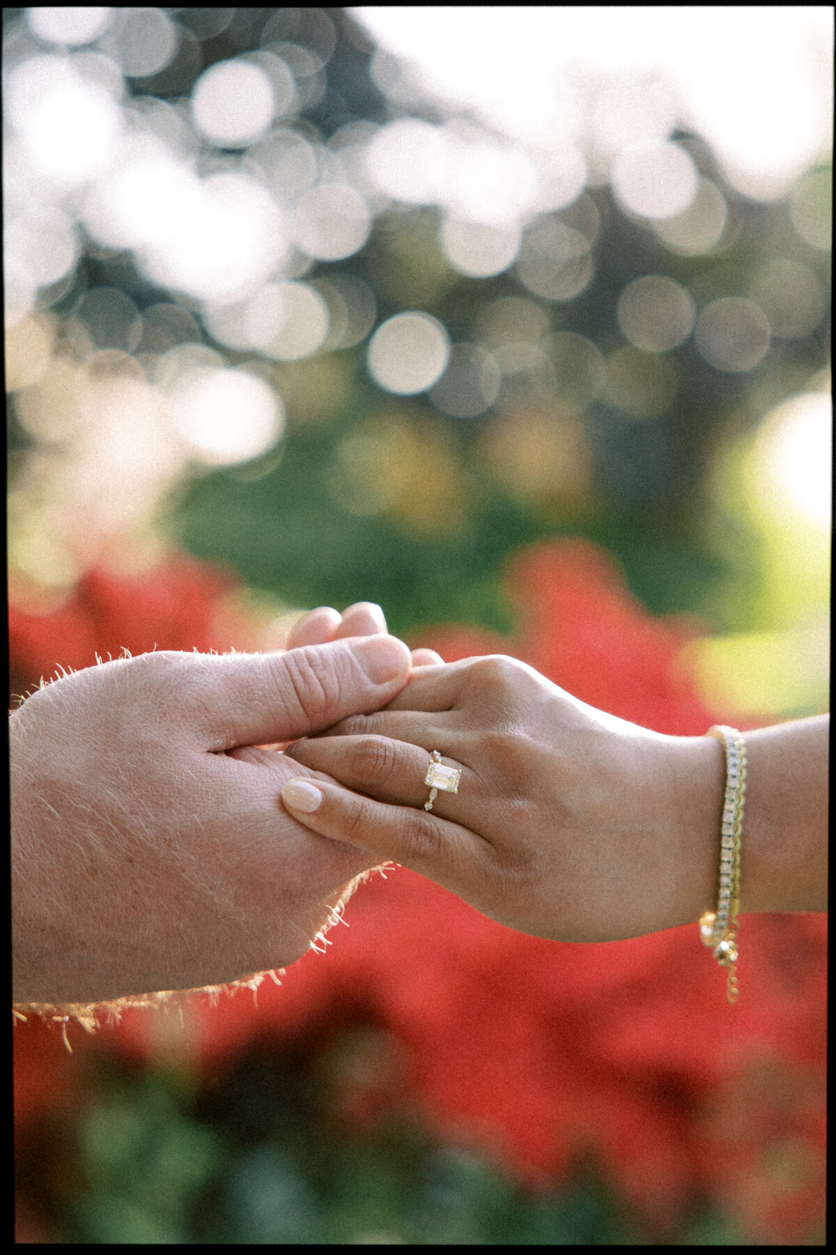 Jea  Jacks Capitol Hill DC Engagement Session_DC Wedding Photographers_0012