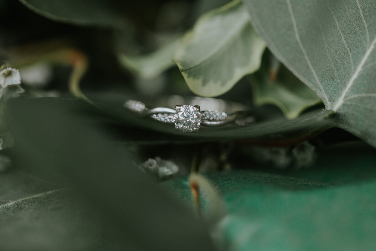 Emma-Titus-Wedding-46