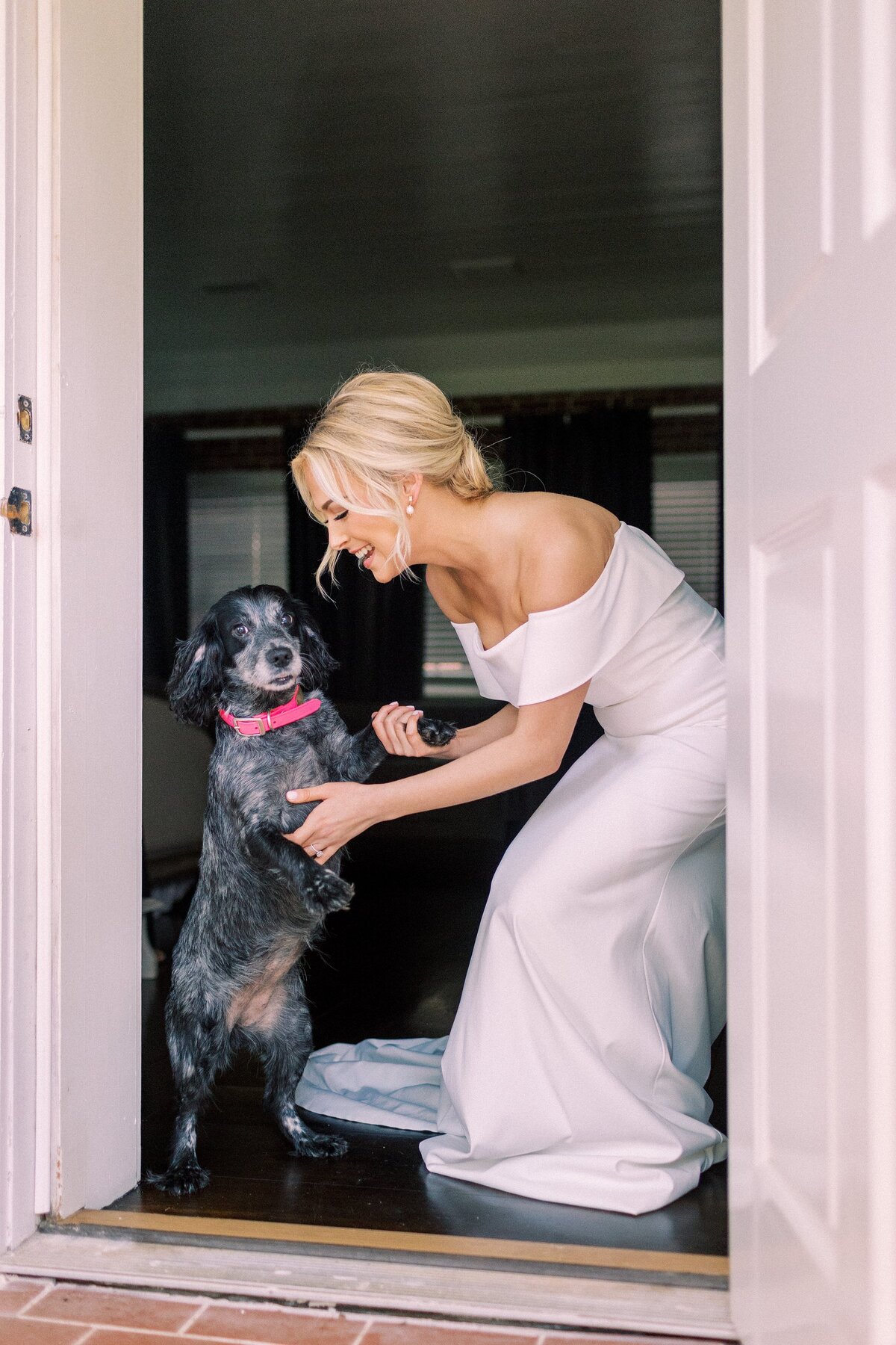 Bride in wedding gown plays with her dog