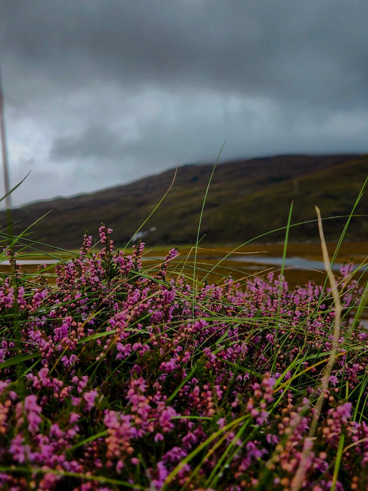 532564172_10172337543005074_9133491131514188279_n