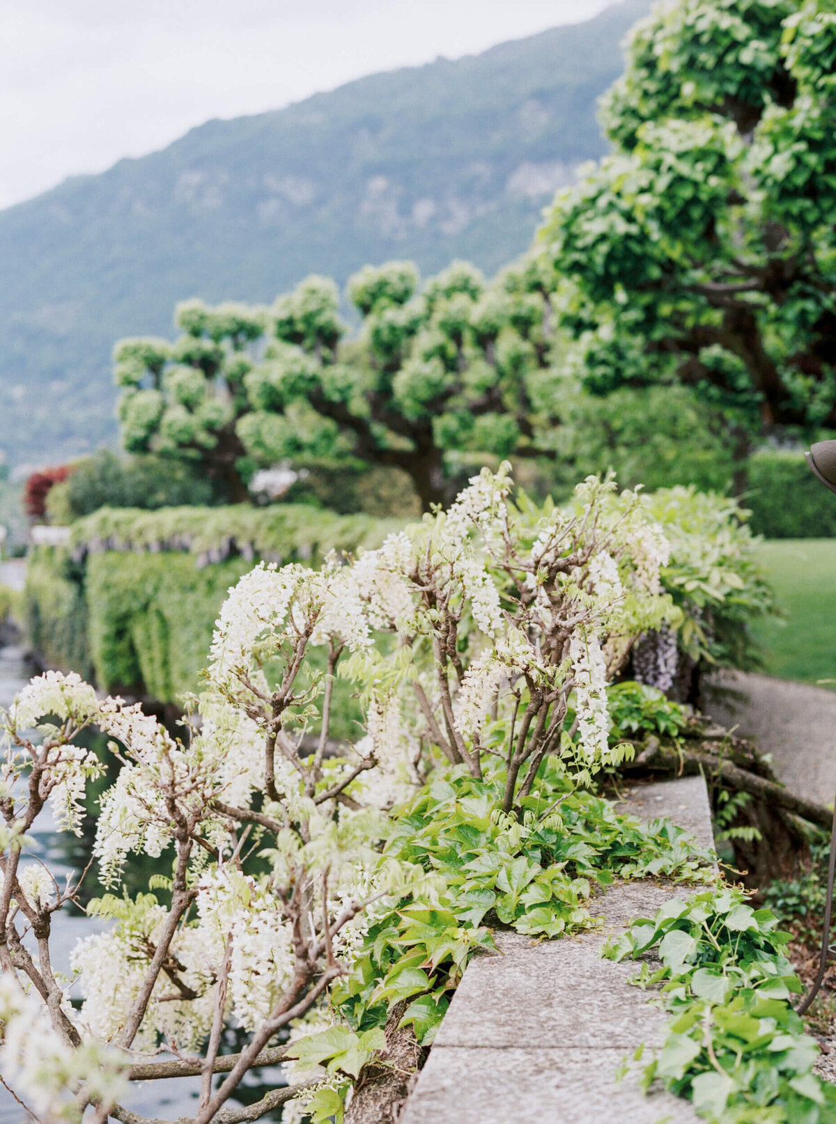 A wedding photo of the gardens at the wedding venue villa balbiano on lake como