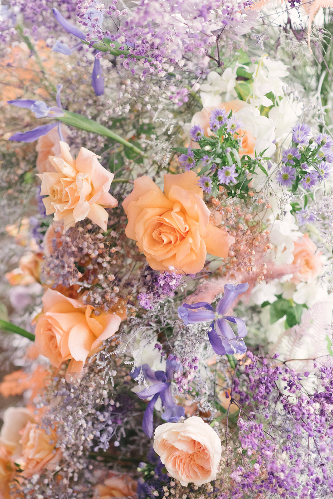 Eva Lin Photography 1.23.21-129
