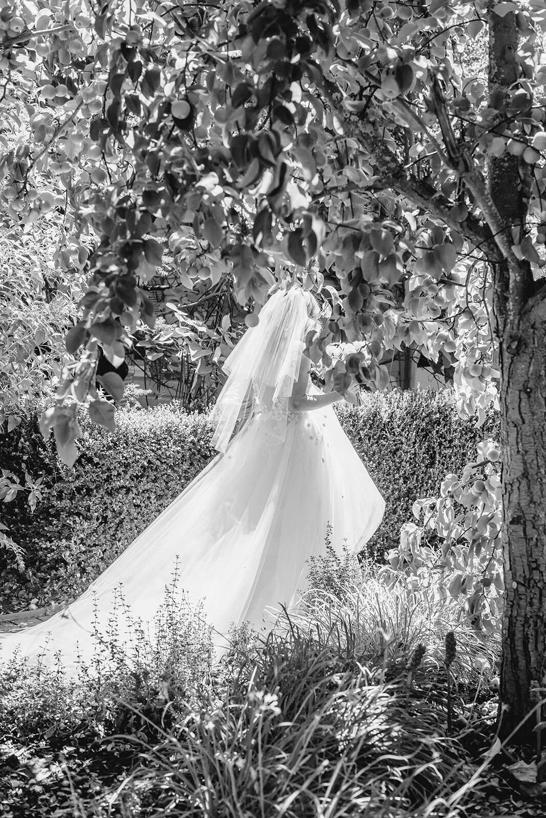 napa-wedding-photographers-dejaureguis-erin-courtney-0145