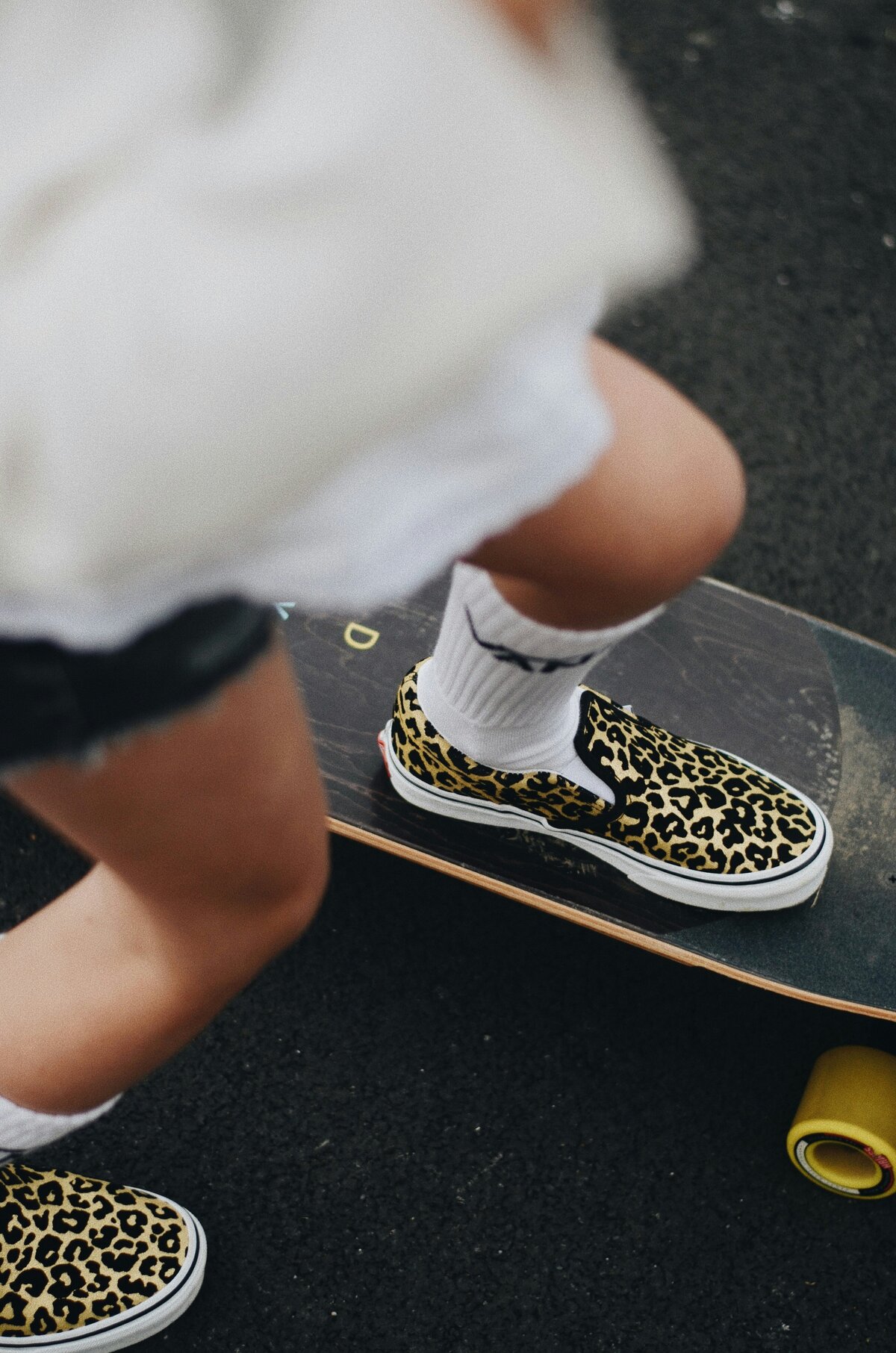 caroline-hernandez-edlj9k5Gqdw-unsplash (1)