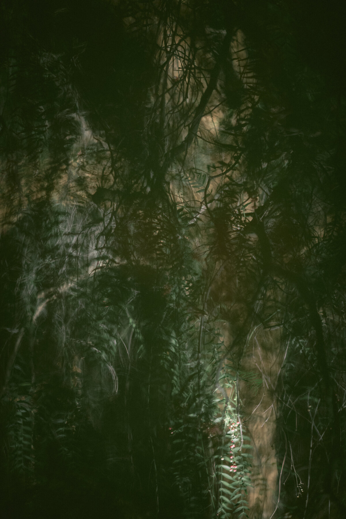 231014_SN_7211