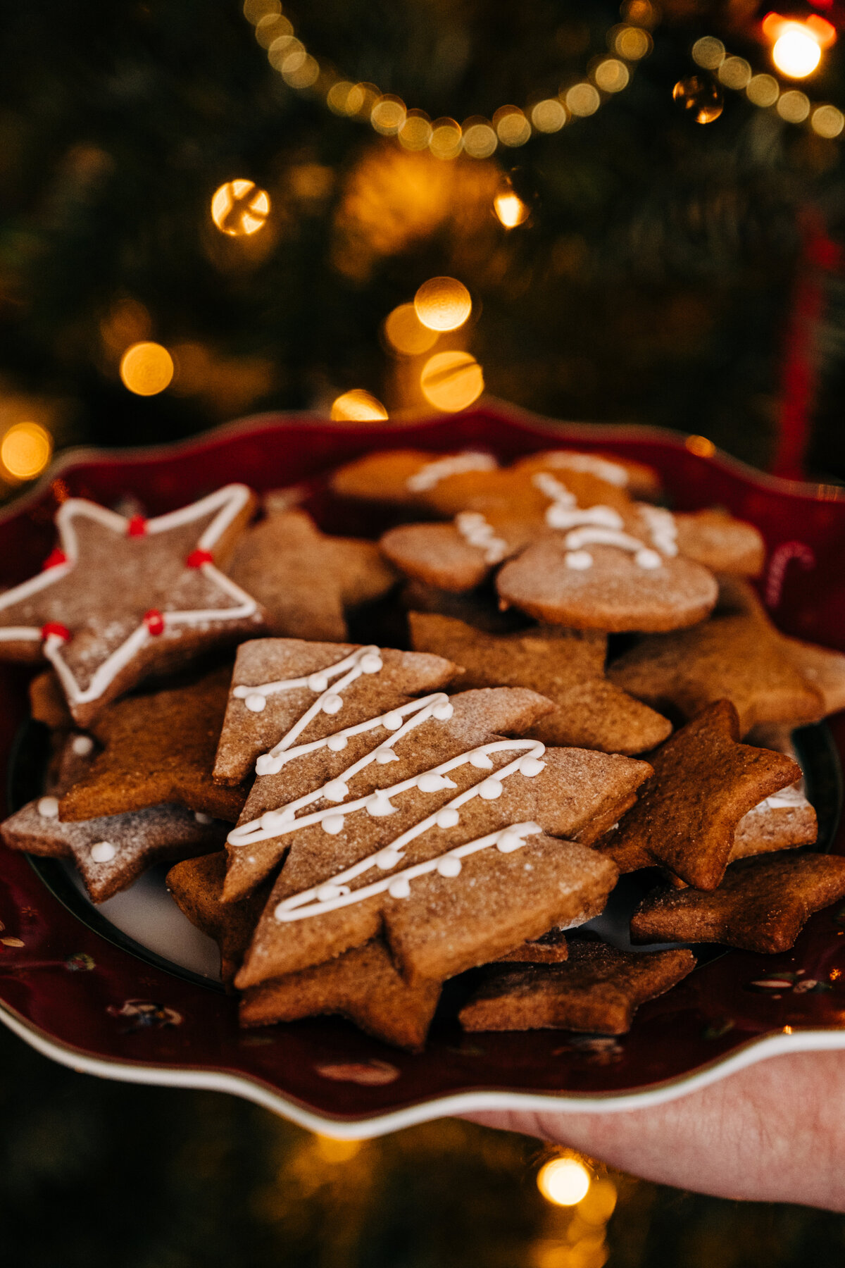 Kerstkoekjes Copyright Emily Breedveld 2020