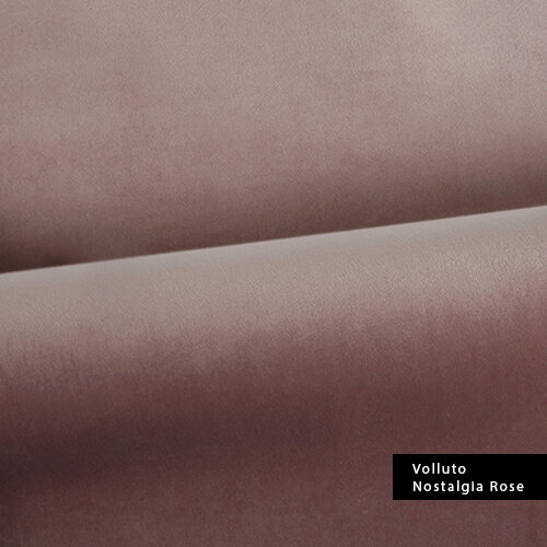 Nostalgia-Rose