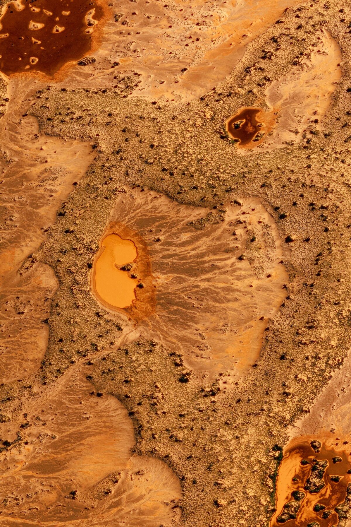 185A0772