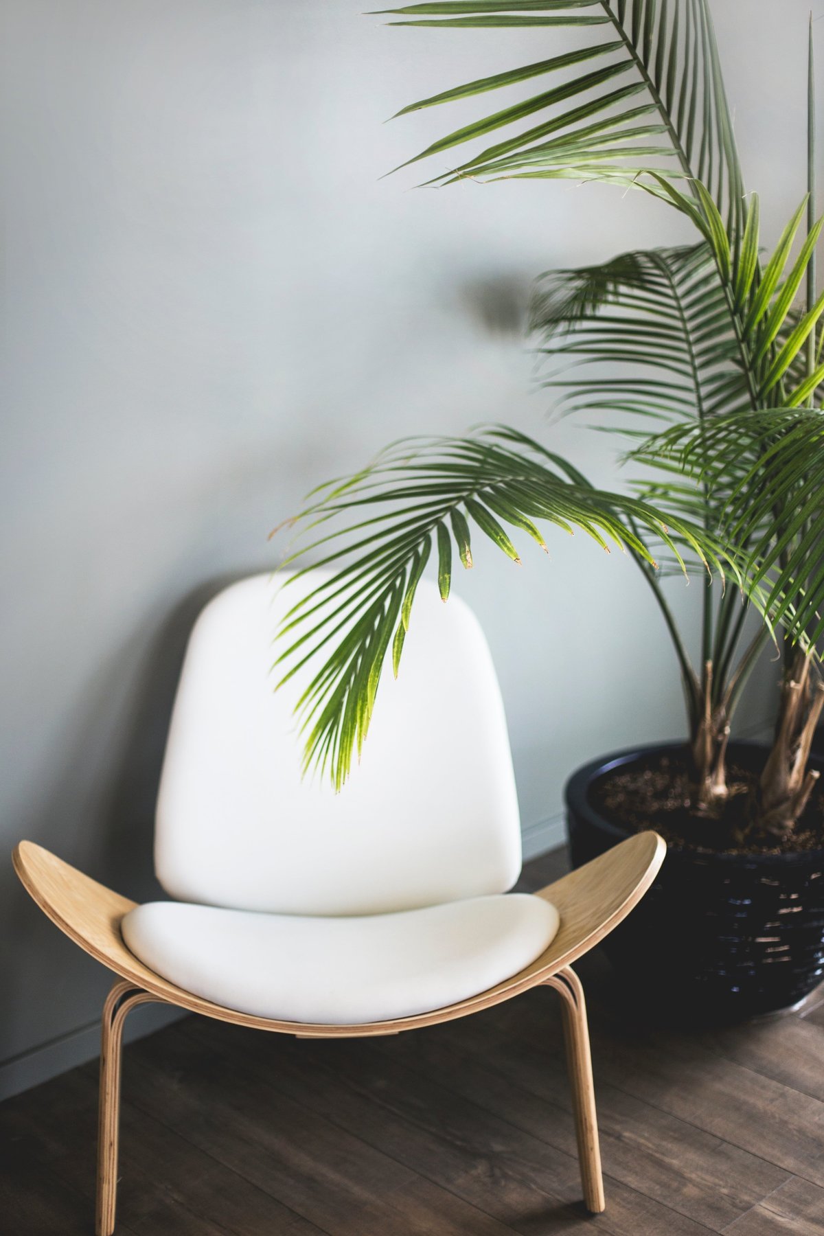 kari-shea-580156-unsplash (1)-min