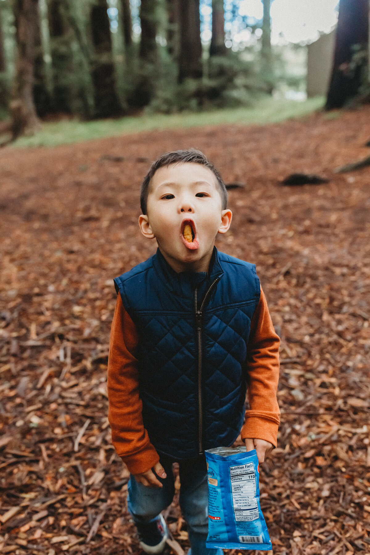 skyler maire photography - regional redwood forest family photos-1268