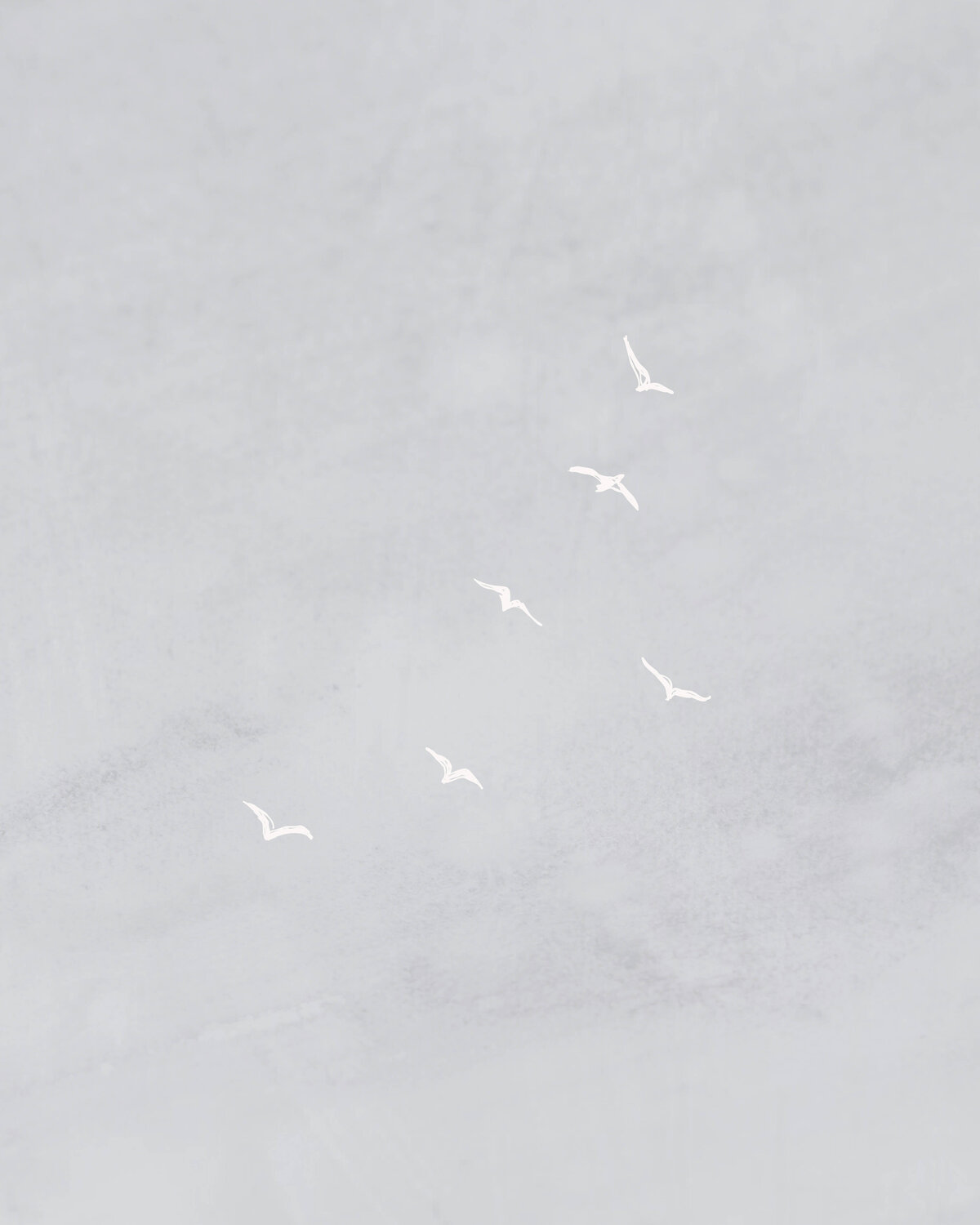 Birds Mockup