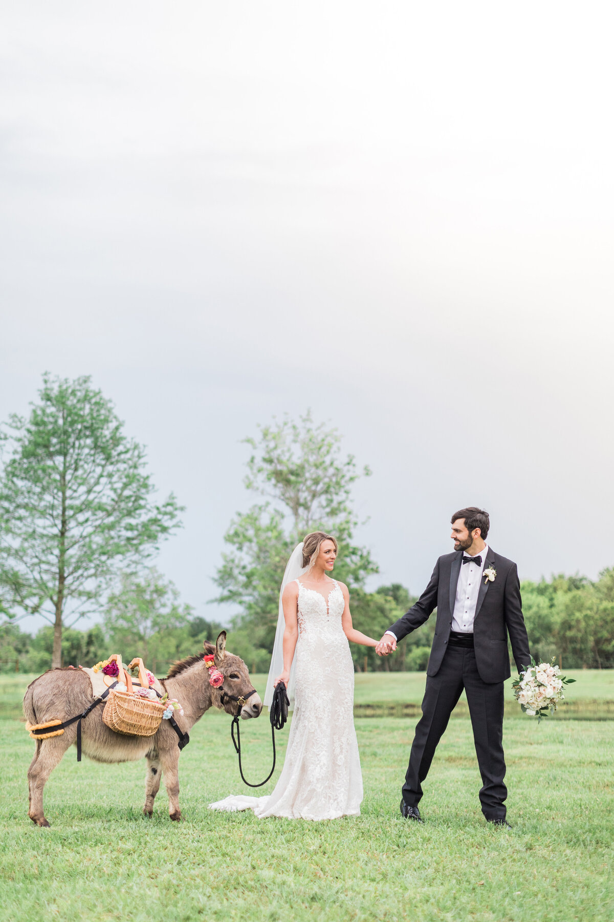 Bride and groom with shot donkey