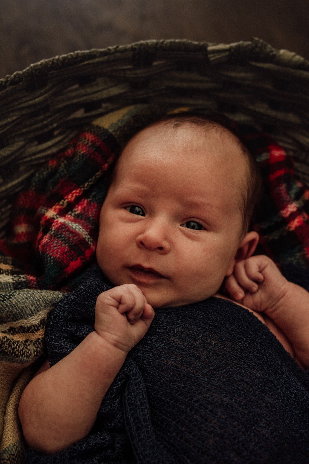 Beneath the Trees Photography Michigan Newborn Photographer 5