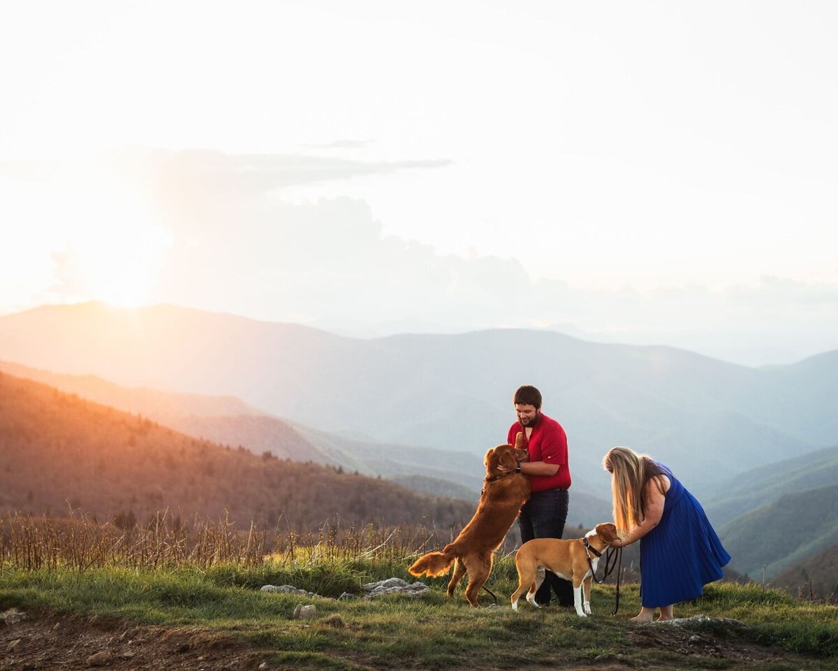 black balsam knob engagement session