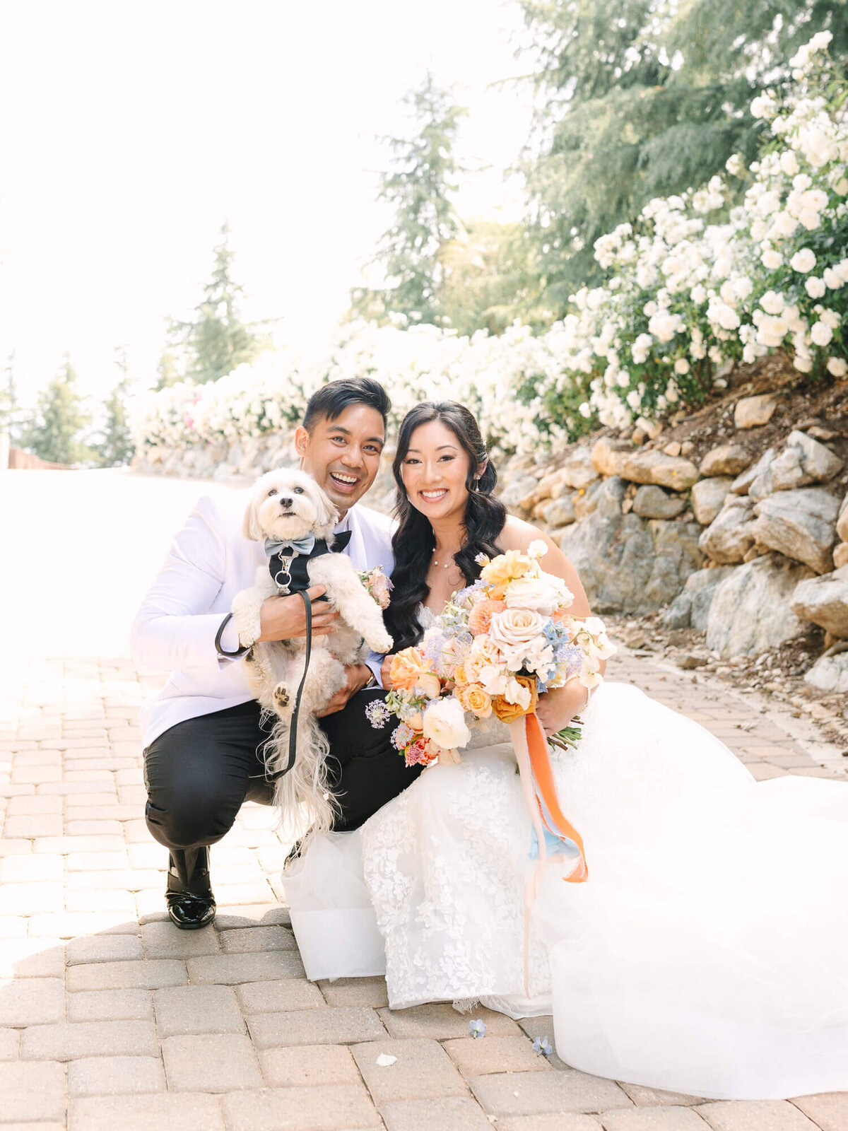 A joyful couple in wedding attire pose outdoors on a sunny day, with a small dog and a colorful bouquet. White flowers and greenery in the background.