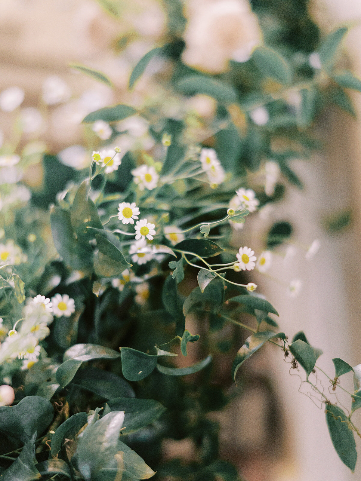 PeterloonEditorial_MarissaBellePhotography-20