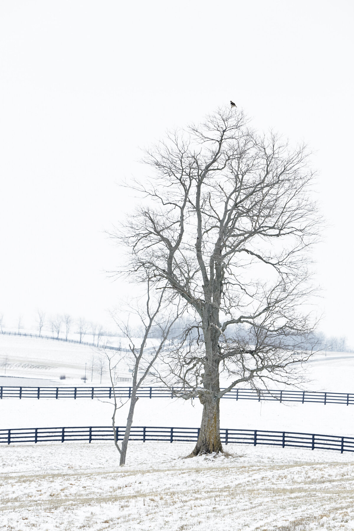 20130202_PROJECT_0053_01