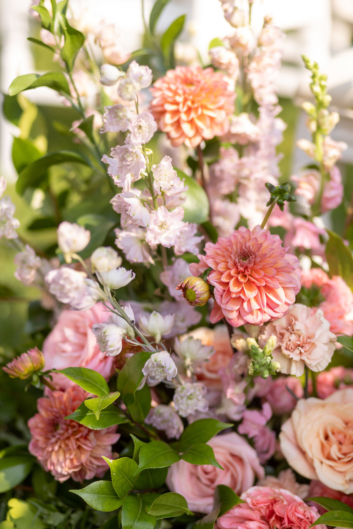 Caroline and Clemens Wedding - Natalie Probst Photography0481