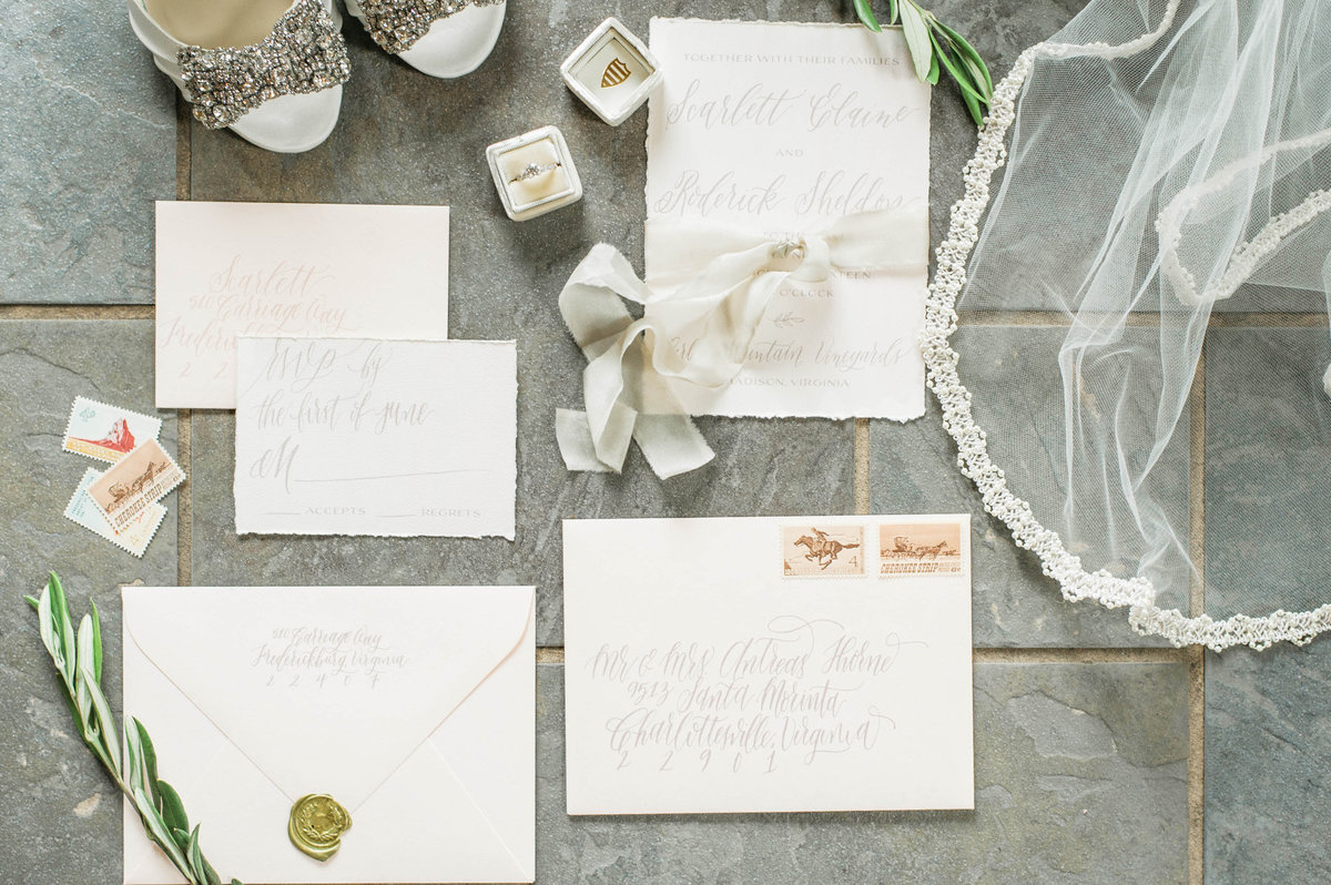 terri_baskin_virginia_wedding_engagement_photographer_010