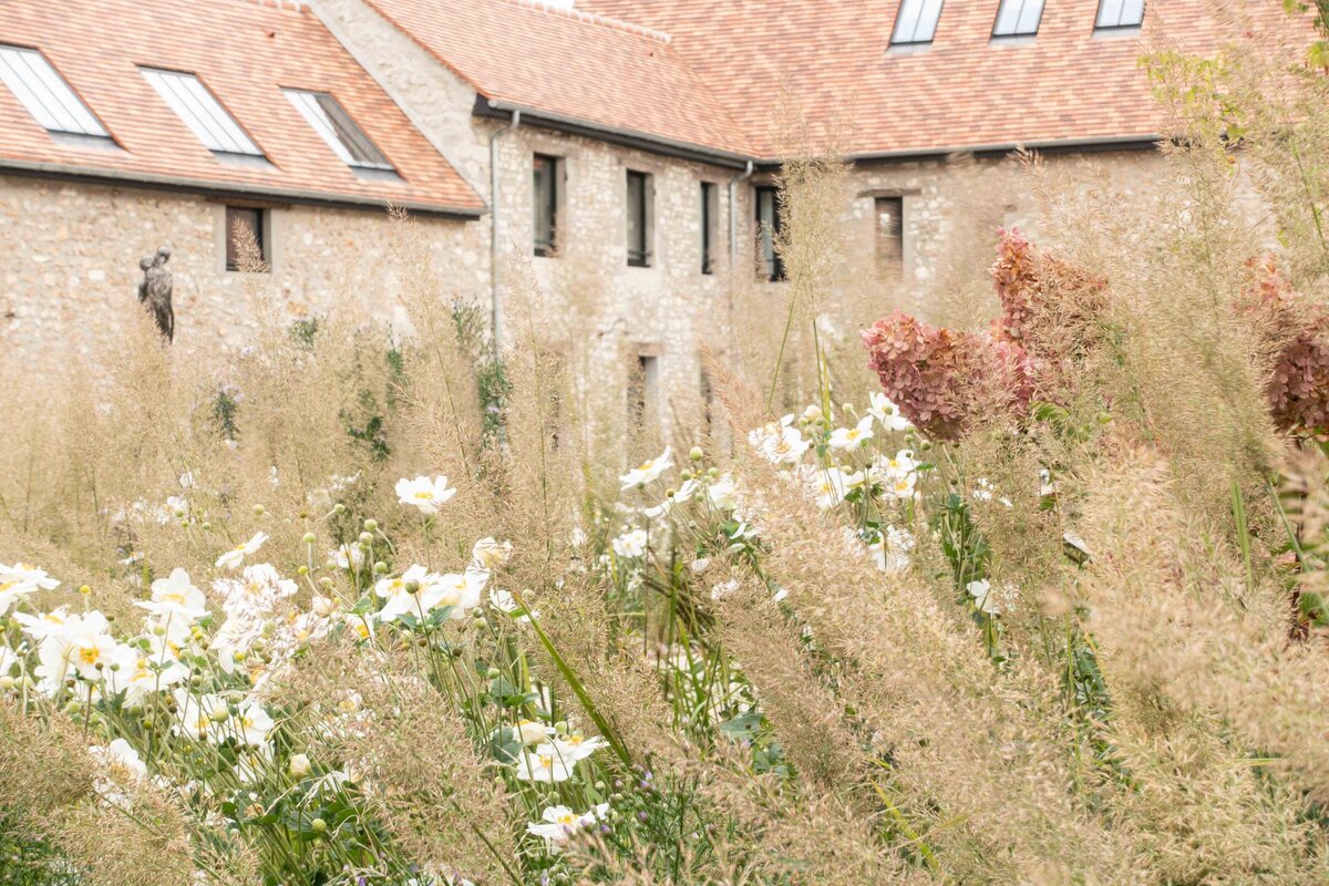 Graminées et fleurs pour un jardin naturel
