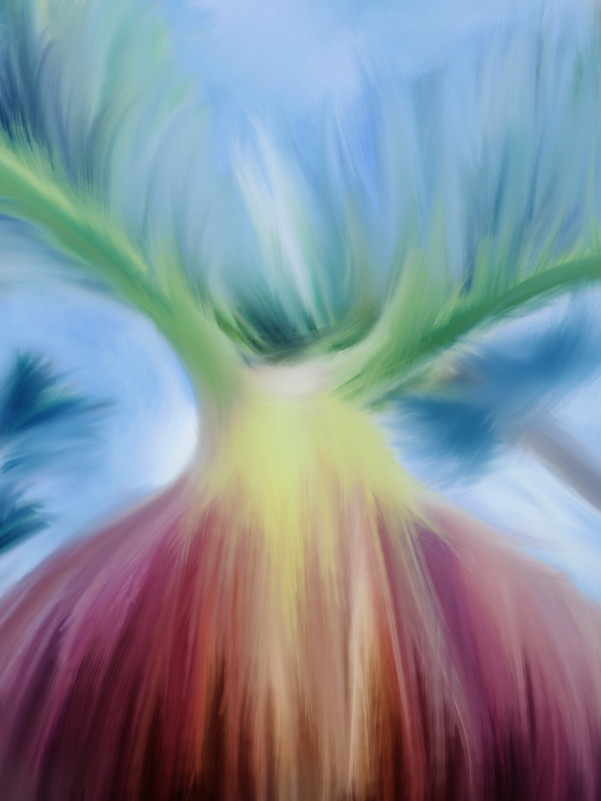 Postcards One Tropical Tree Inhanced One