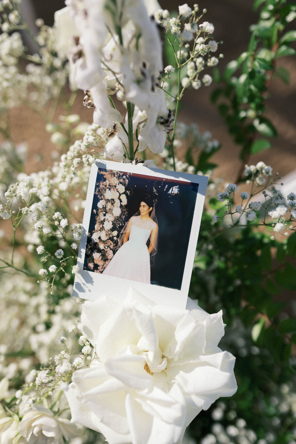 Julia + Taylor Wedding x LDMP2634