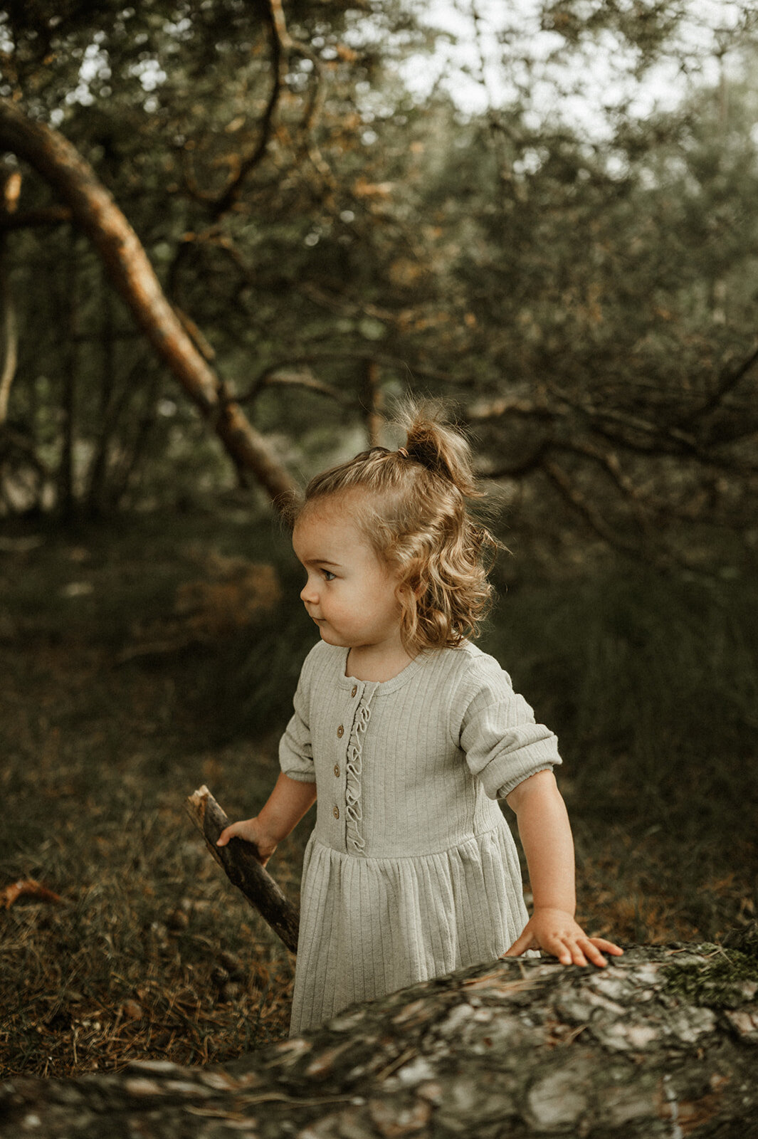 Gezinsfotografie in Nijlen tijdens golden hour – pure, spontane momenten vastgelegd in de heide.