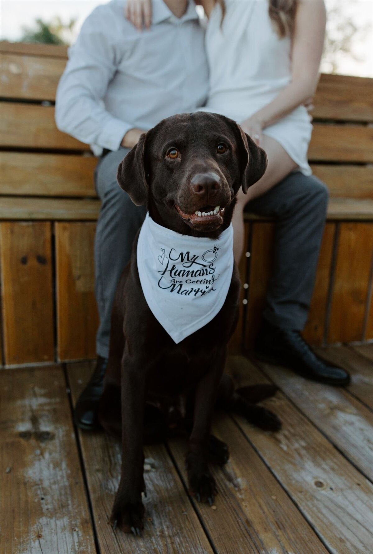 Cameron and Allie Proposal-130_websize