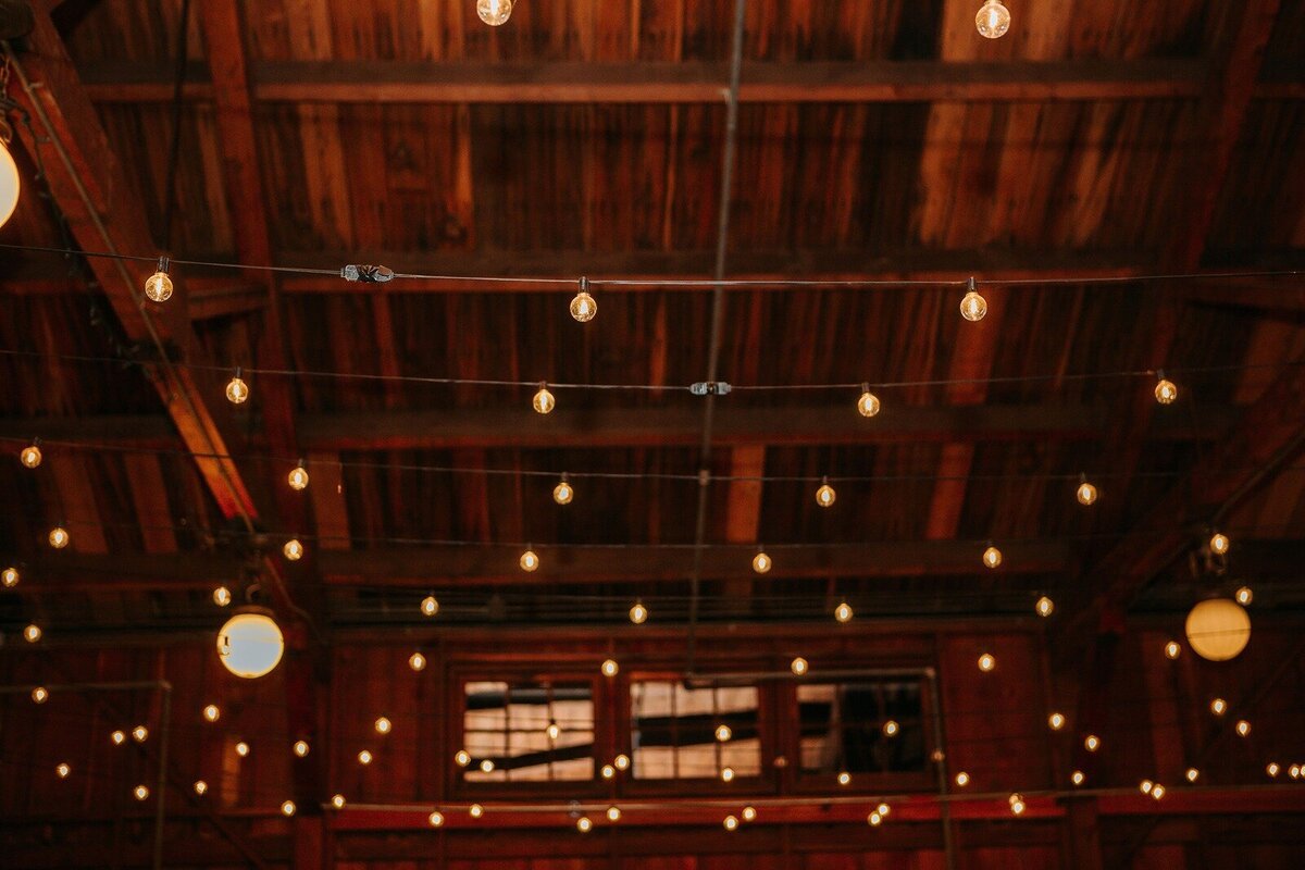 Kate_&_Derek_Aug_17_2024_Wedding-1521