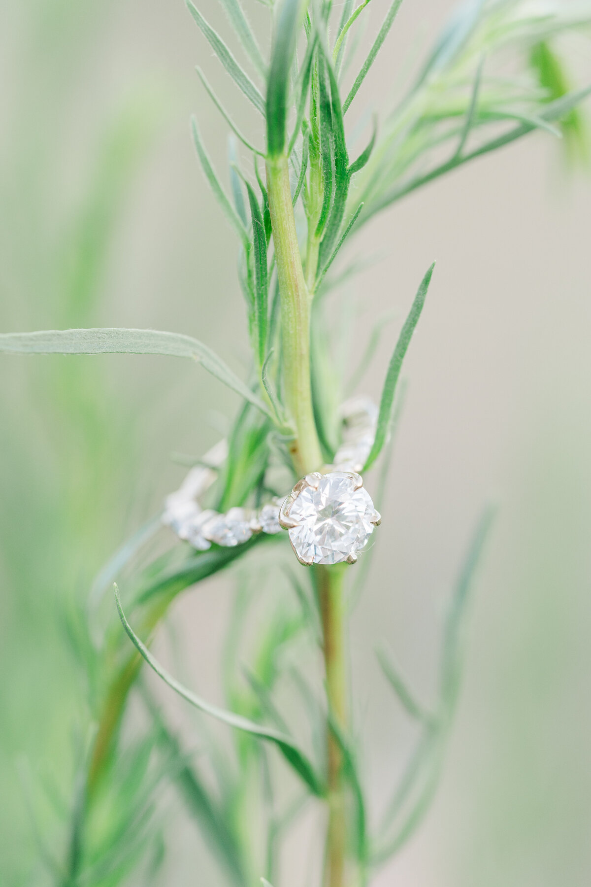 Garden of the Gods Red Rocks Colorado Springs Epic Romantic Engagement Pictures Elena Spraguer Photography 0064