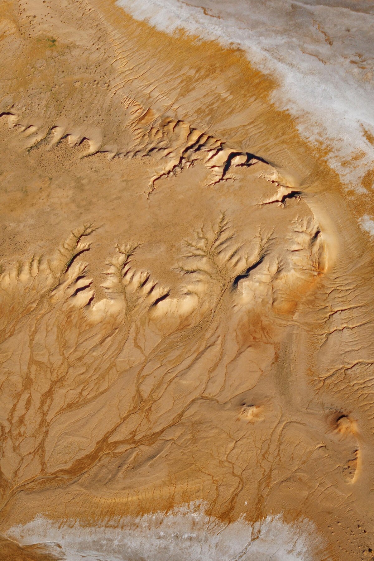 185A9828
