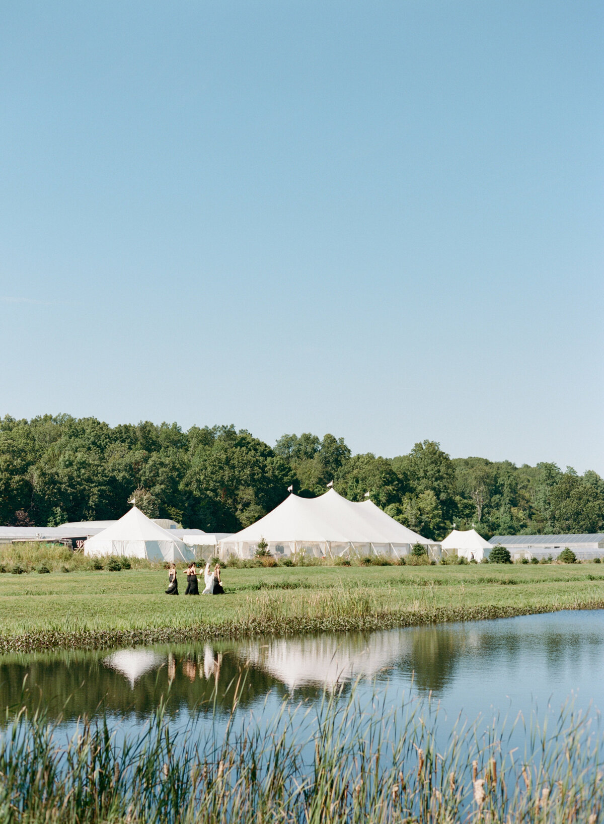 ct-tented-wedding-forks-and-fingers-catering-ct-3