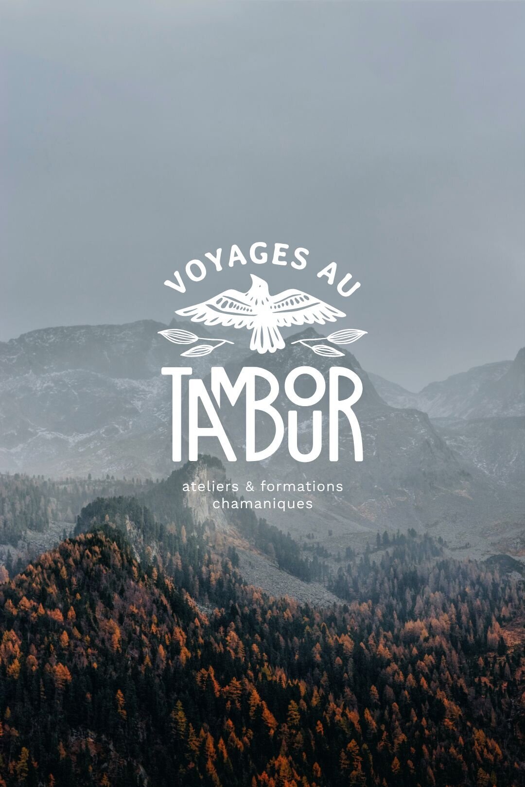 portfolio-bewildstudio-VAT10