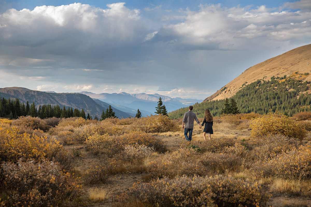 mountain-meadow-fall-engagement-photo-guanella-pass-colorado