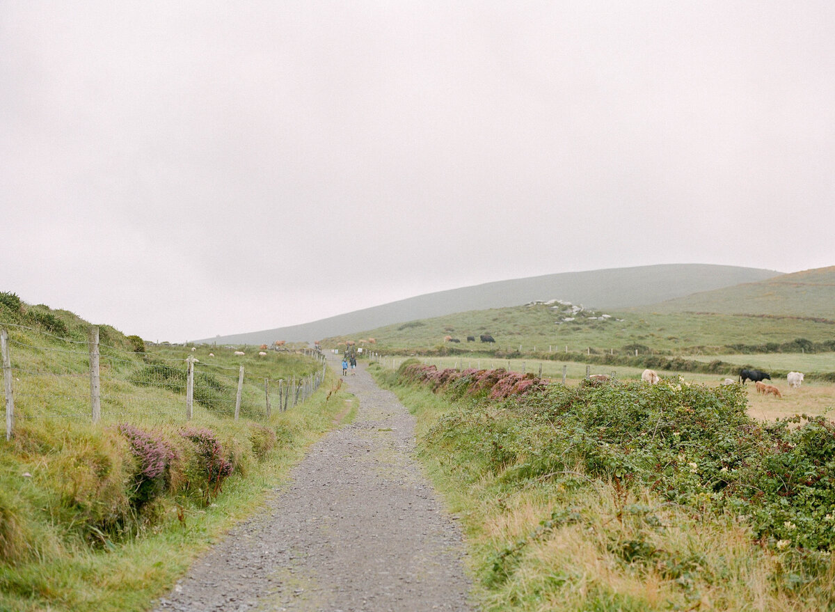 Ring of Kerry Ireland Elopement - Kerry Jeanne Photography  (159)