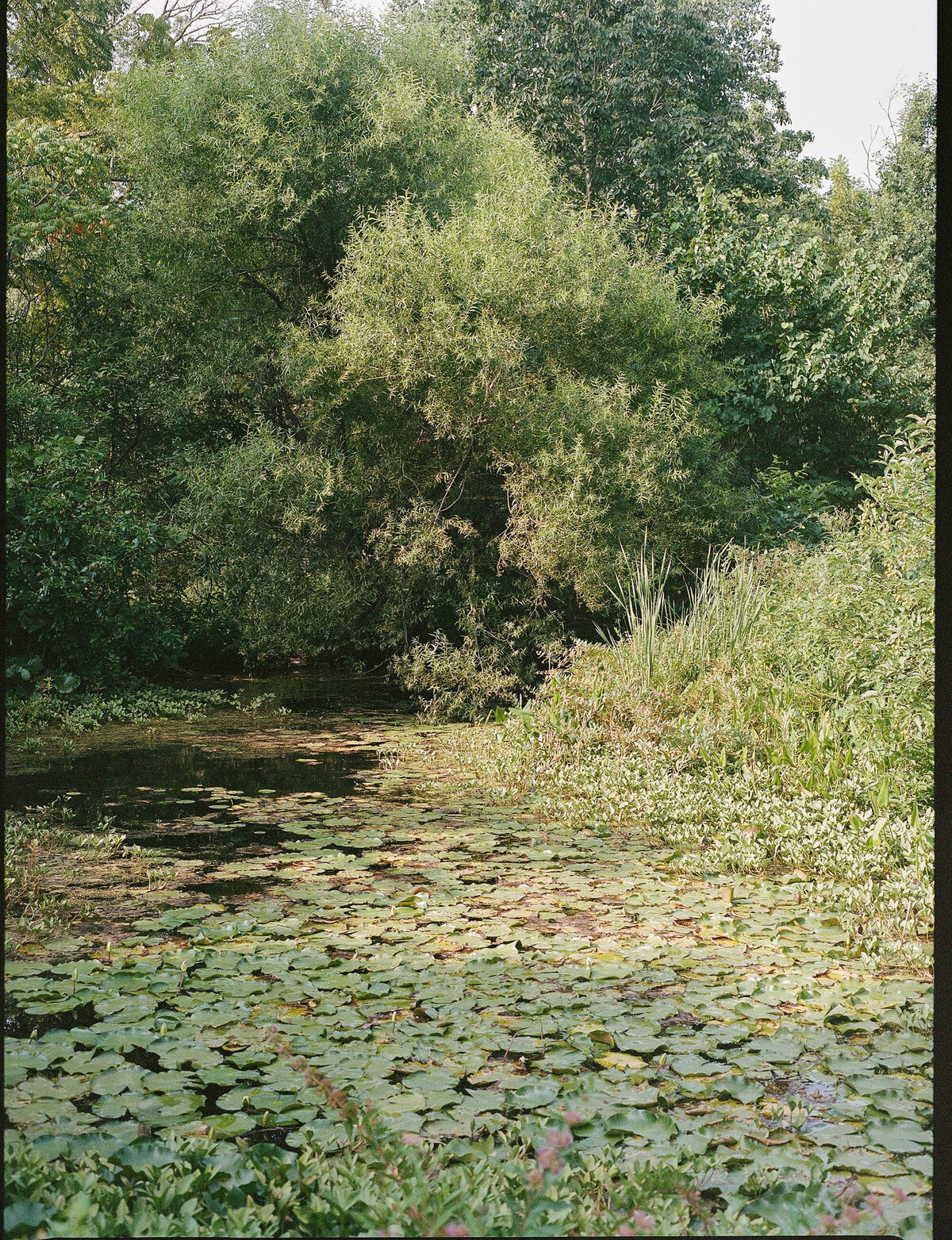 805636_0002