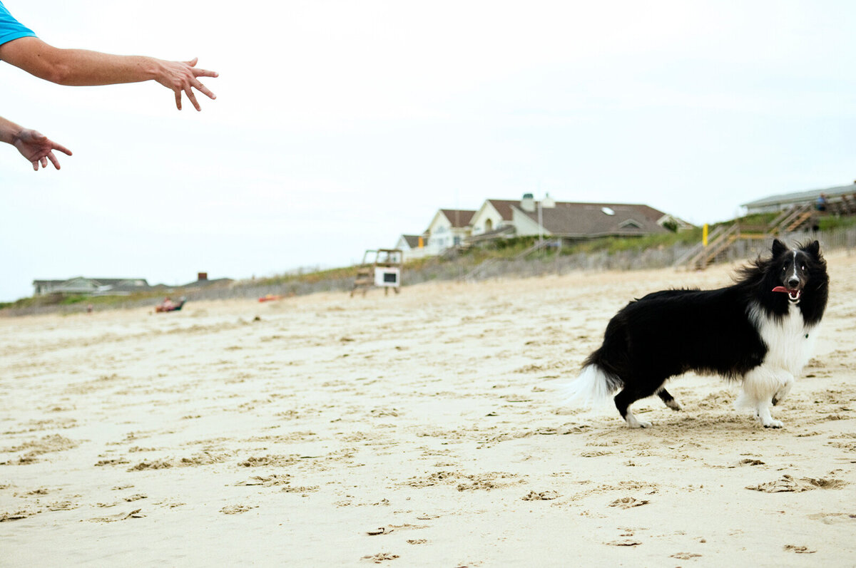world's-best-vacation-photographer004