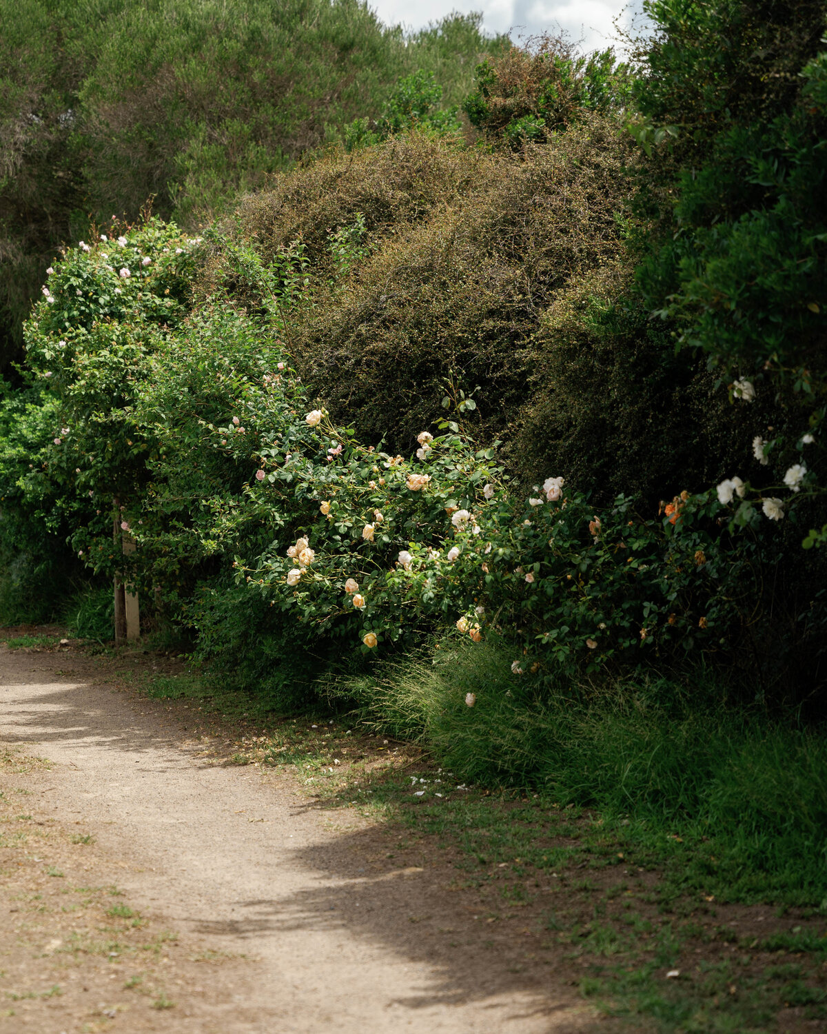 Alice&Josh-564