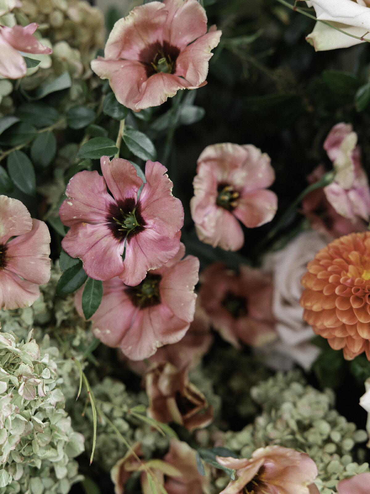 Anastasiia + Sam #-81