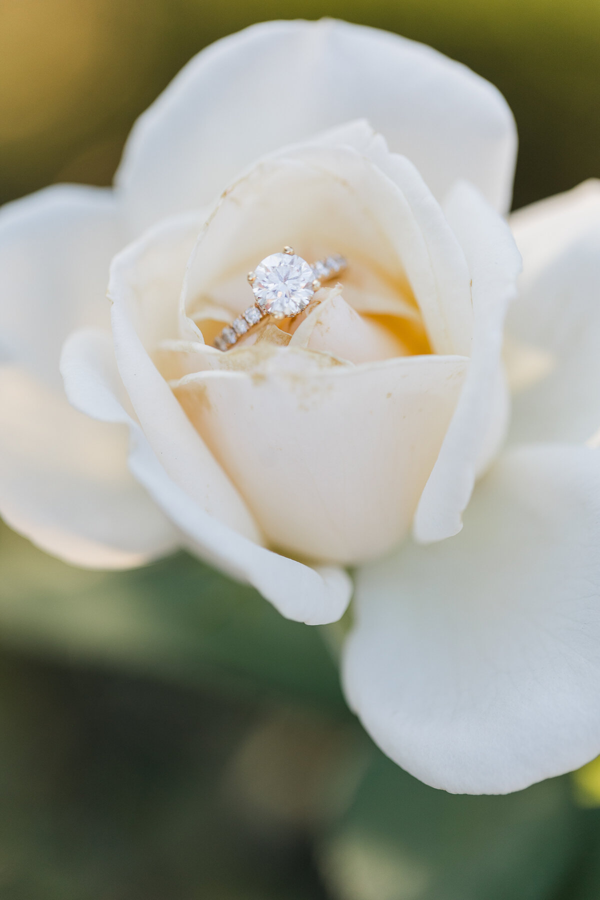 Greta & Carson Engagement Session 2025. Bella Faith Photograpy.160