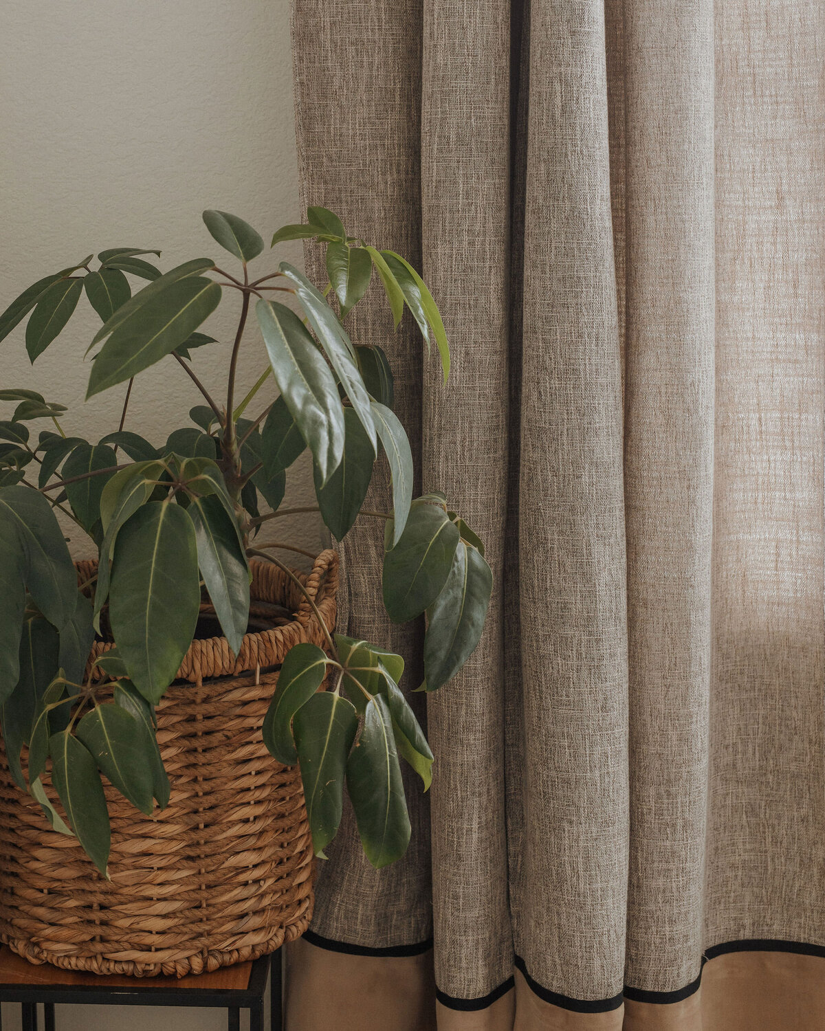 SierraAnnPhotography-RachelBrown-116